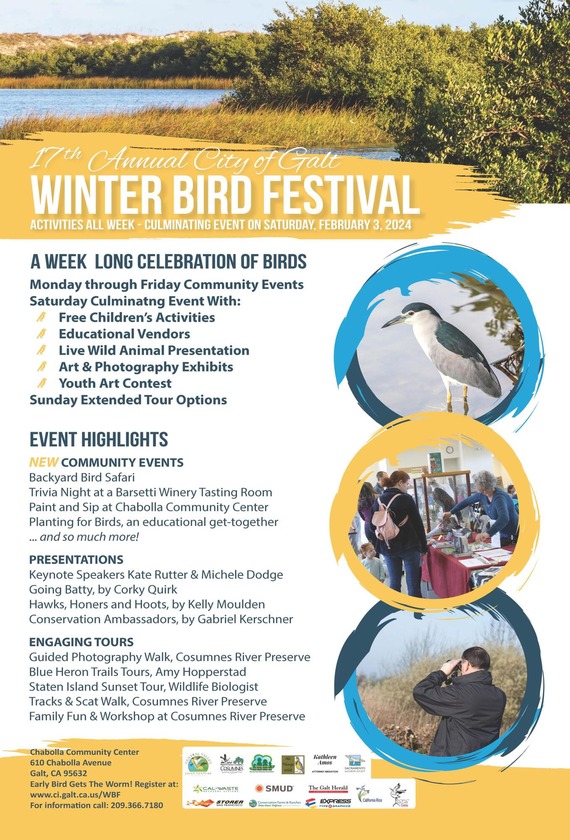 Winter Bird Festival