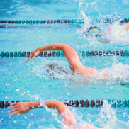 Lap Swim