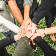 Committees and Commissions