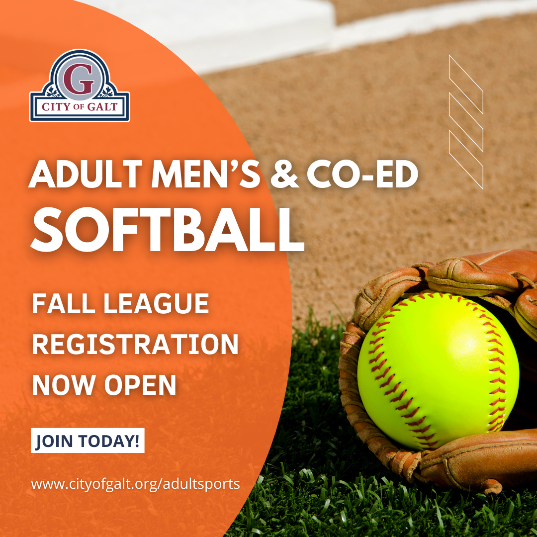 Adult Men's Co-ed Softball Fall
