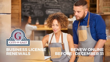 Renew Business Licenses Online