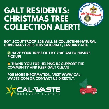 Boy Scouts Christmas Tree Collection 2025