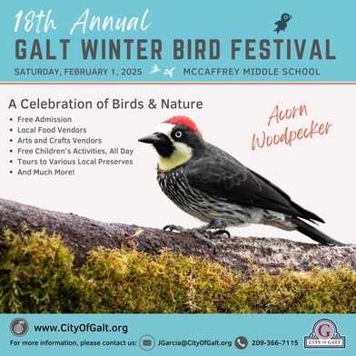 18th Annual Winter Bird Festival