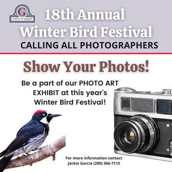WBF 2025 - Call for Photographers