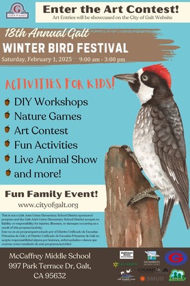 Winter Bird Festival 2025 - Call for Kids Art