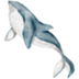 Whale Drawing Class