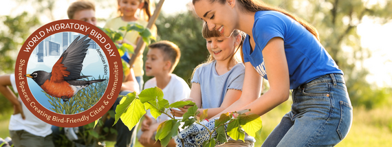 World Migratory Bird Day