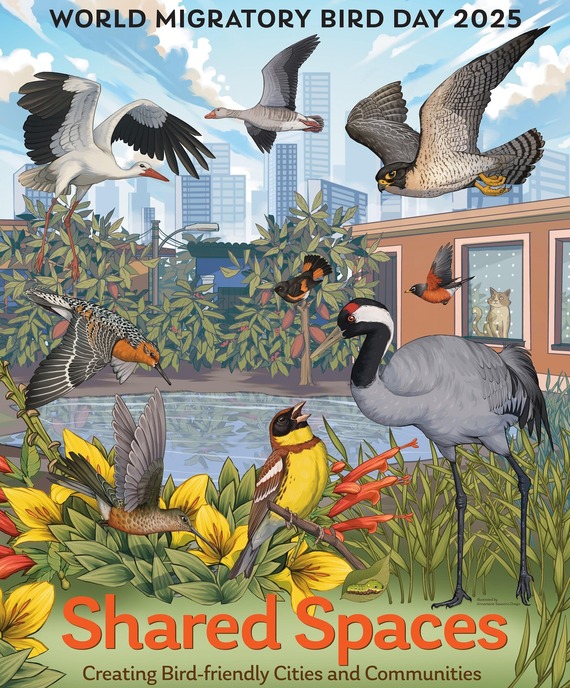 World Migratory Bird Day