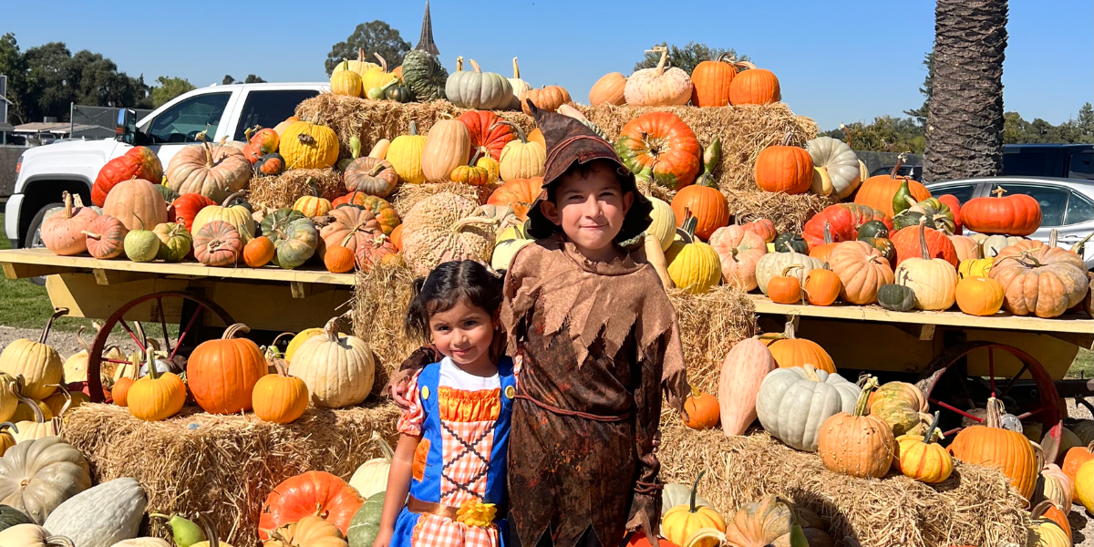 Harvest festival Saturday Market