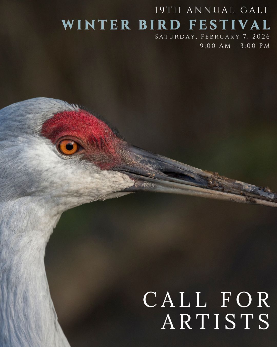 WBF Call for Artists