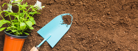 Free Compost