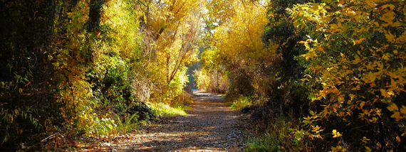 Cosumnes River Preserve
