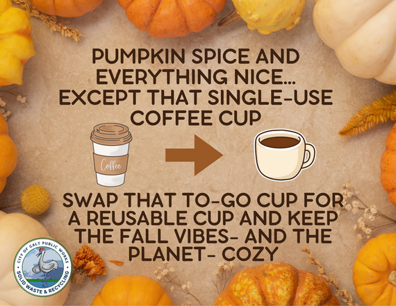 Pumpkin Spice