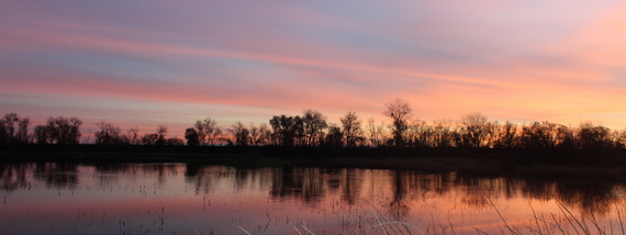 Cosumnes River