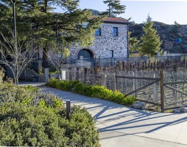 Stone Barn and Vineyard