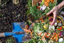 Organics waste, including egg shells, greens, carrots, being thrown into soil. Blue shovel