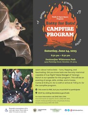 Bats in the Night Campfire Program