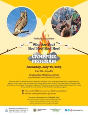 Owl Campfire Program
