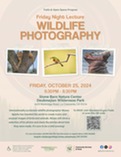 Wildlife Photography