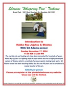 Intro to Hakko Ryu Jujutsu & Shiatsu