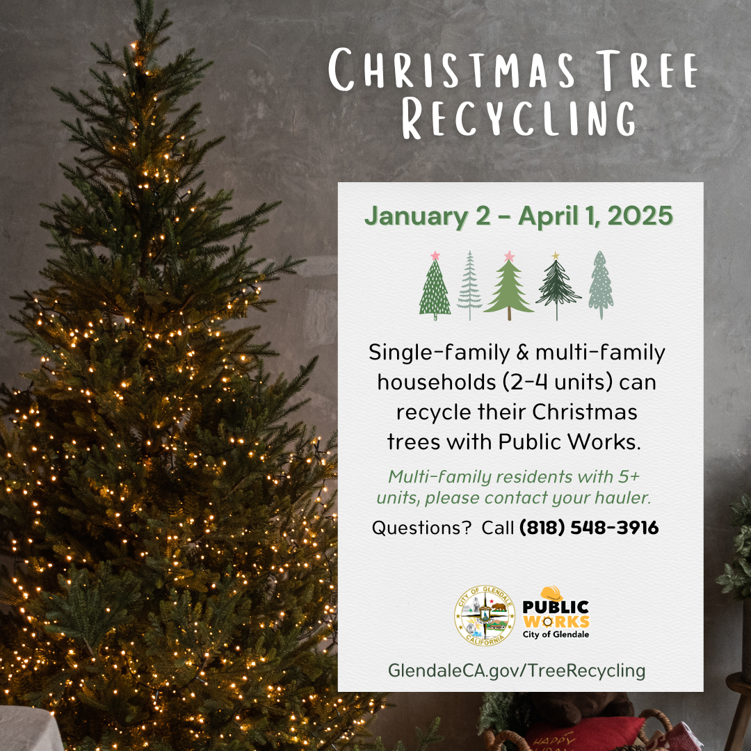 Christmas Tree Recycle 