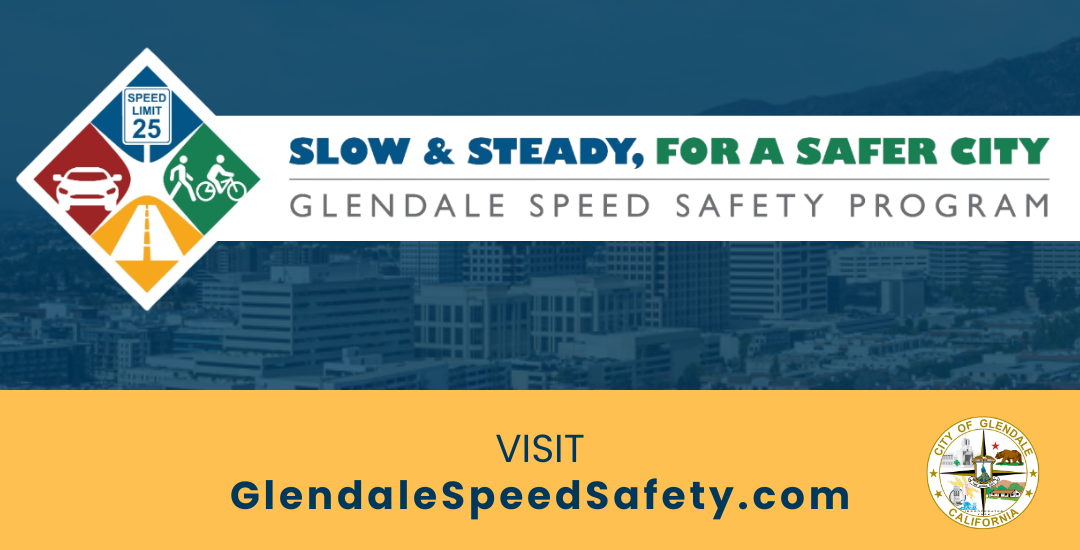 Speed Safety Program