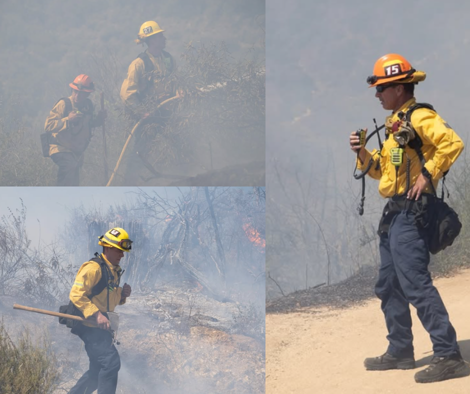 Brand Park Fire Incident