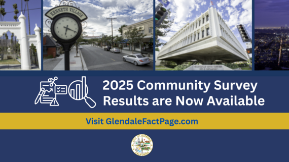 Satisfaction Survey 2025