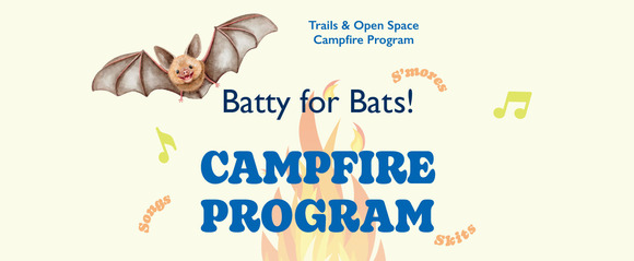 batty for bats