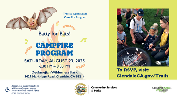 Campfire Information