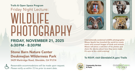 wildlife photography