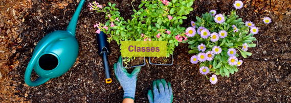 GWP Native Plant Classes