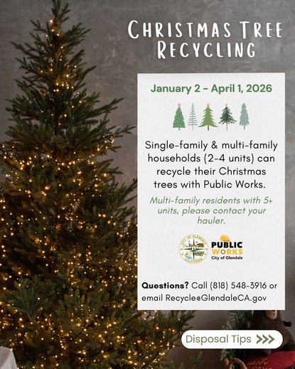 Christmas Tree Recycling