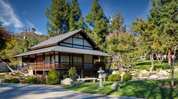 Brand Tea House Renovation