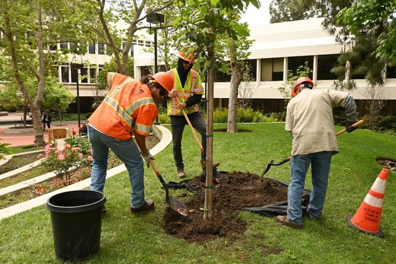 Arbor Day Celebration Promo