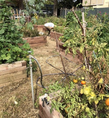 Composting 101