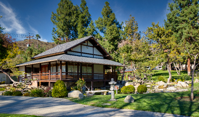 Brand Tea House Renovation