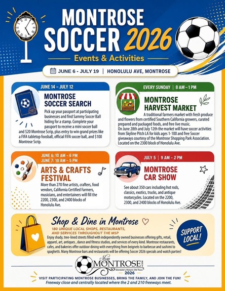 Summer of Soccer MSPA
