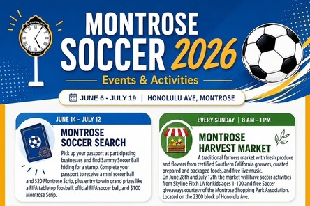 Summer of Soccer MSPA
