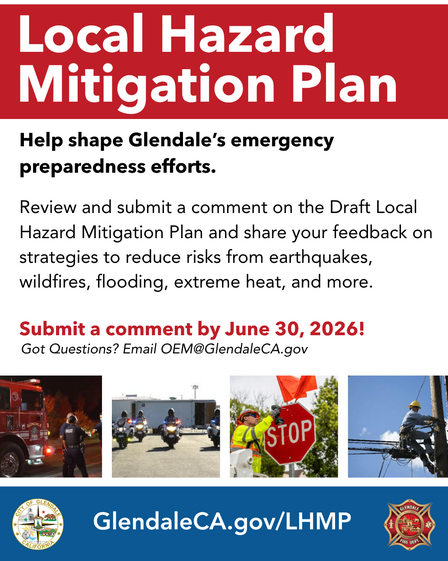 Local Hazard Mitigation Plan