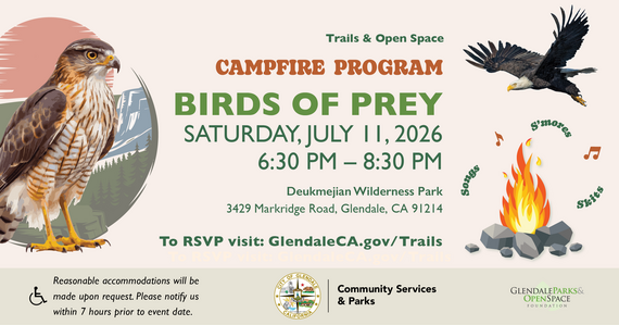 Birds Of Prey Campfire