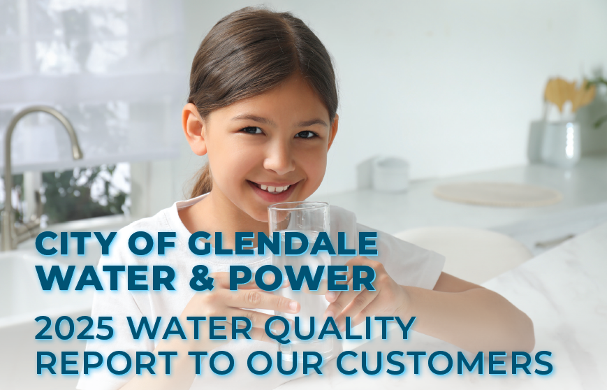 Water Quality Report 2026