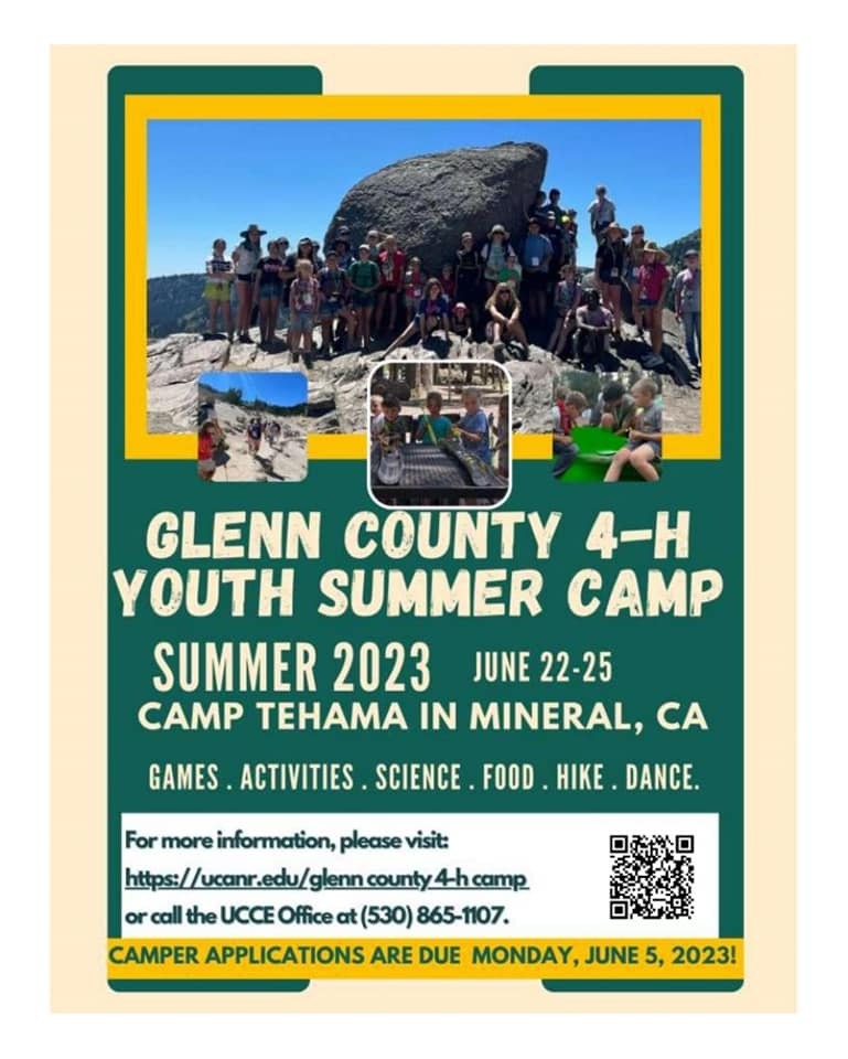 4-H Summer Camp