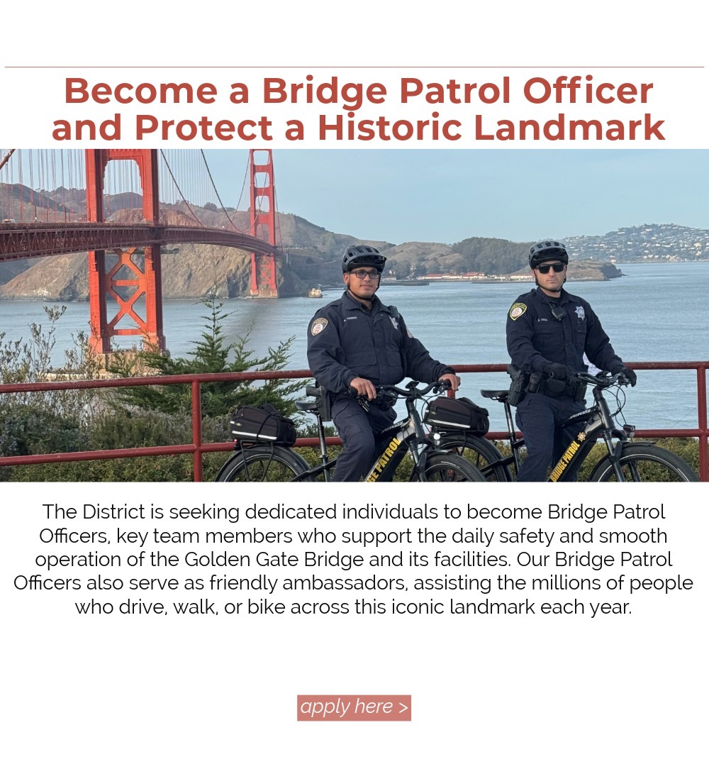 bridge patrol