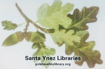 SYV Library Card