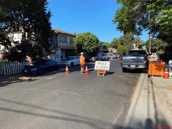 OTSW Magnolia and Mandarin