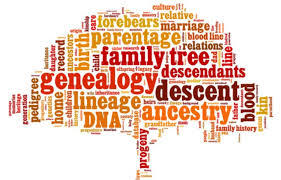 Library_Geneology