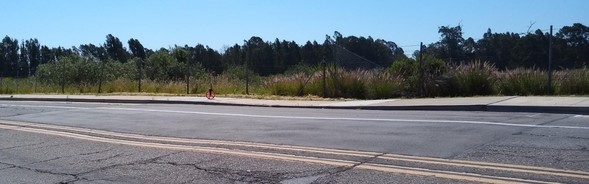 Cathedral Oaks Road Settle Repair Photo1 Cropped