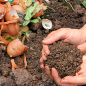 Composting_Solvang Library