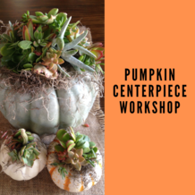 Pumpkin Centerpiece